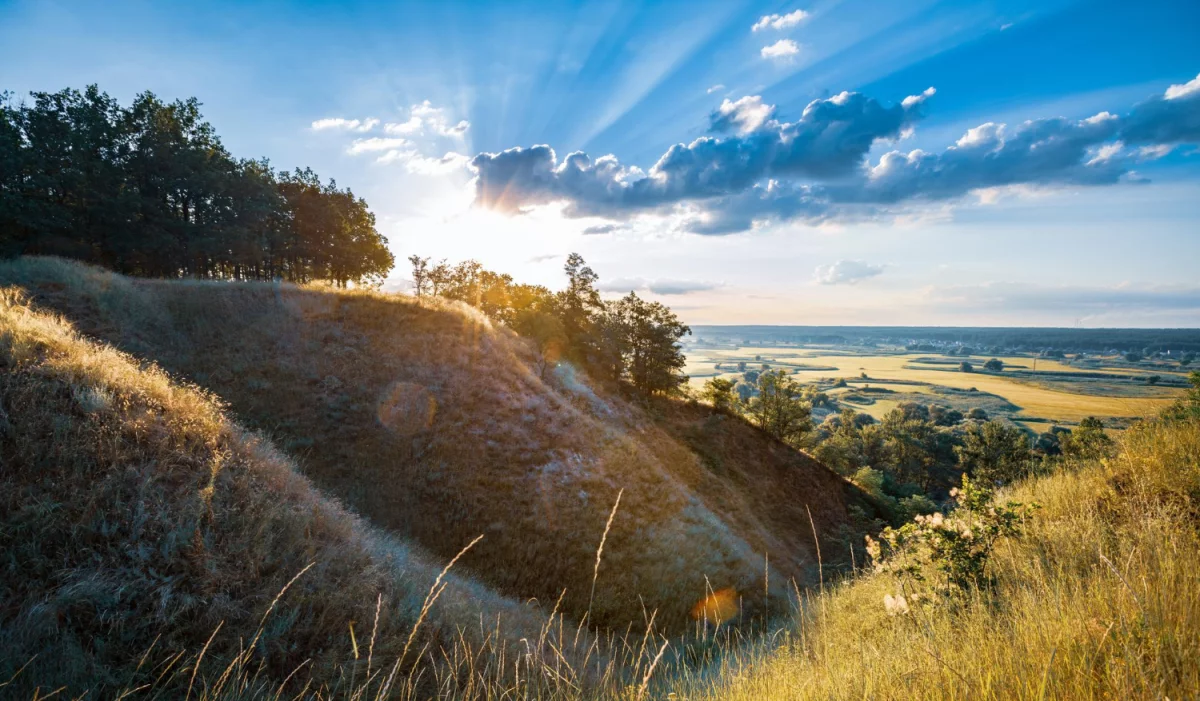 Czy w 2023 jeszcze warto  kupić programy?